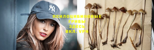 стафф Алзамай