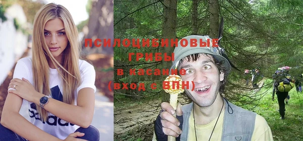 стафф Алзамай