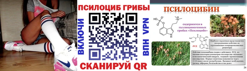 как найти закладки  Сураж  Псилоцибиновые грибы мухоморы 